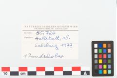 Foto von Keramikgefäß (NHMW-PRAE-085726)